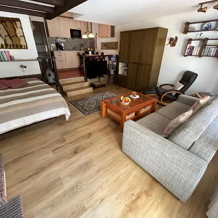 Haus Oasis Apartment Zermatt Exterior photo