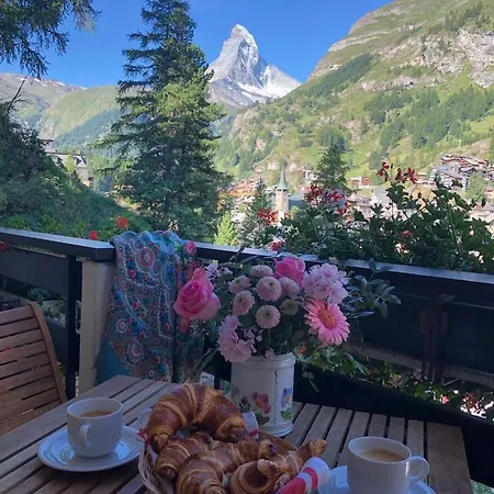 Haus Oasis Apartment Zermatt Exterior photo
